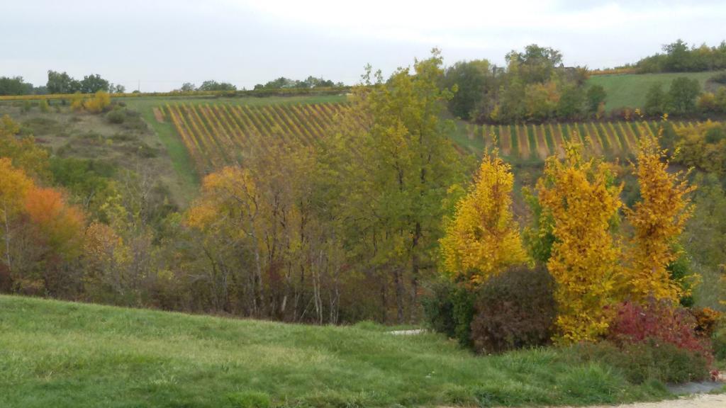Albas  Les Hauts D'Albas חדר תמונה