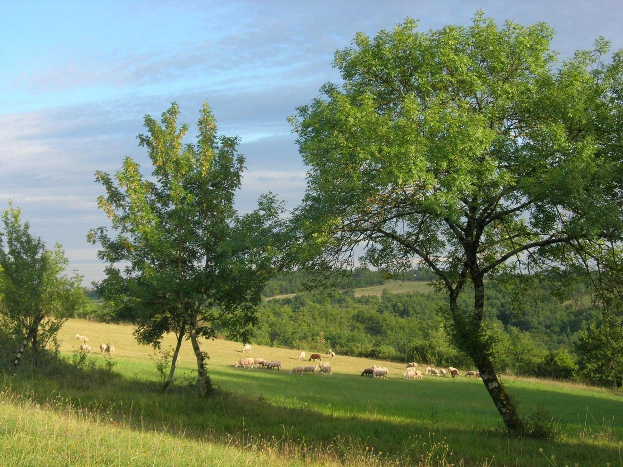 Albas  Les Hauts D'Albas חדר תמונה