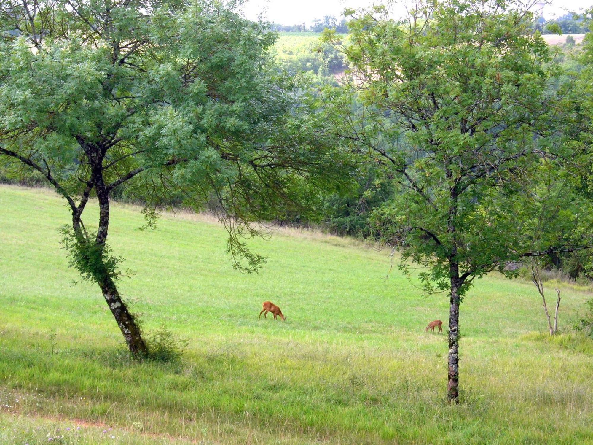 Albas  Les Hauts D'Albas חדר תמונה
