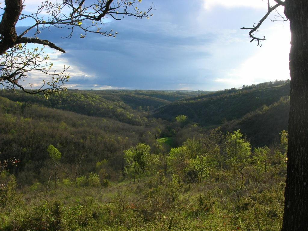 Albas  Les Hauts D'Albas חדר תמונה